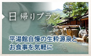 日帰りプラン